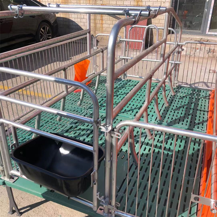 双位母猪产床围栏母猪产床落地式母猪产床出售供应