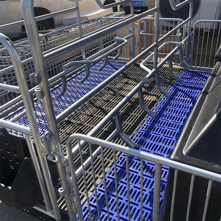 双位母猪产床围栏母猪产床落地式母猪产床出售供应