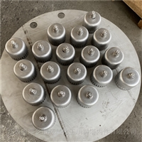 精馏装置DN600圆形泡罩塔盘