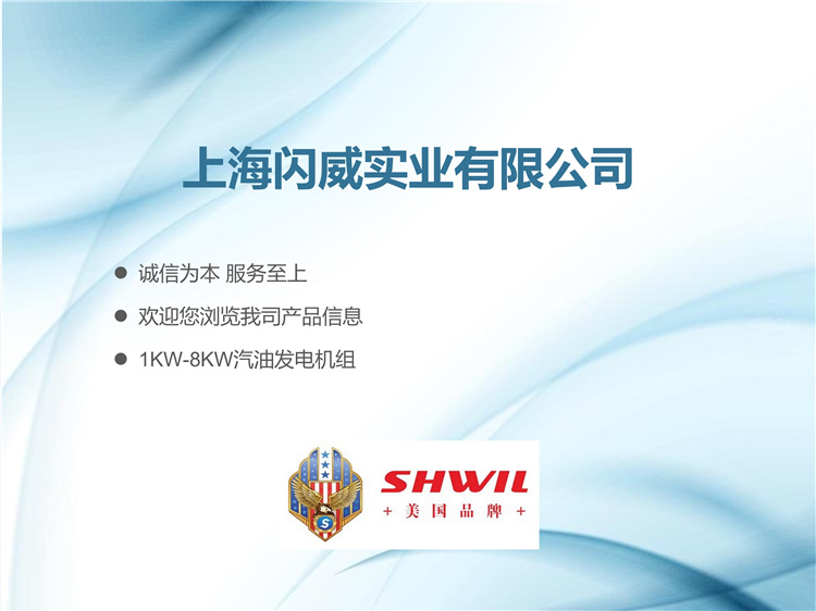 SHWIL 6KW汽油发电机 闪威 灌溉 防汛 应急式