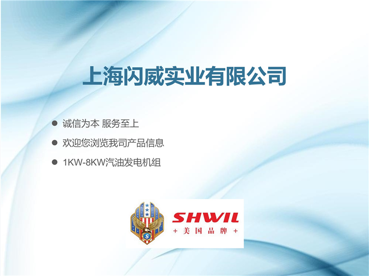 SHWIL 6KW汽油发电机 闪威 农业 灌溉 防汛