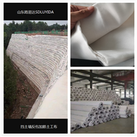 縱向200kn 加筋濾網(wǎng)b型 擋墻加筋土工布 a型b型