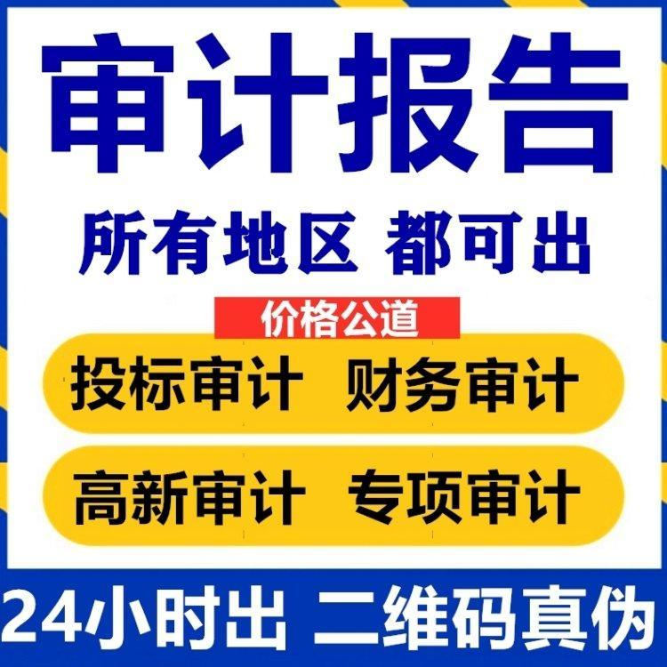 天津做投標審計 財務審計報告