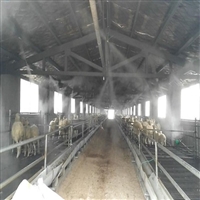 冷雾降温设备供应 喷雾设备钱