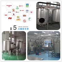 广西600ml雪莲果饮料加工设备 全自动地瓜汁饮品生产线 ZYLJX