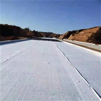 高强阻抗布 玻纤格栅复合聚酯布