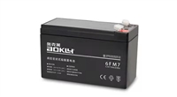 消防配电箱专用电池12V12AH电池12V24AH电池