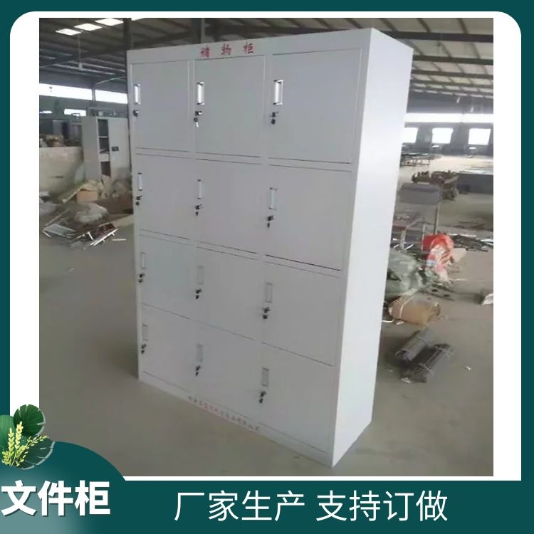 邯郸铁皮储物柜生产价格 十二门储物柜 员工物品柜 杰顺供应