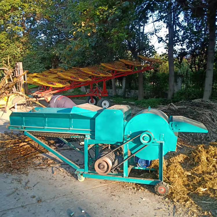 工业电大型揉丝机 喂羊用揉草机 鑫联当天发货