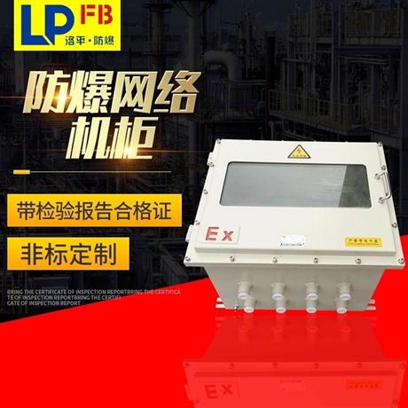 12U防爆网络机柜  散热型 防爆防潮防腐蚀网络机柜 洛平防爆