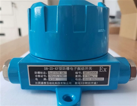 【江陰鼎智DB-ZD-KF防爆電子振動開關(guān)】價(jià)格,廠家,測振儀