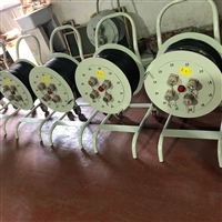 浙江洛平防爆 防爆电缆盘 防爆检修电缆盘 移动式电缆盘厂家