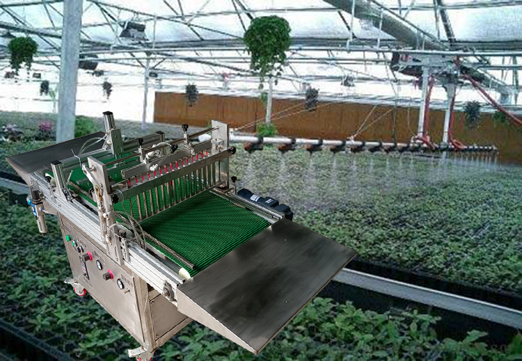 一吸一吐穴盘育苗播种机德州荣商气吸穴盘育苗机精量播种操作简单