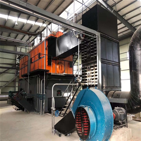szl型生物质锅炉双锅筒纵置型链条炉szl10125s