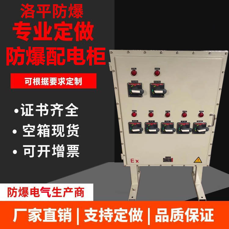BXMD51防爆配电箱 户外防爆配电箱 事故照明动力箱 洛平防爆