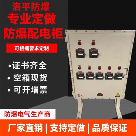 立式防爆配电箱 铝合金材质防爆配电箱BXMD53系列 洛平防爆