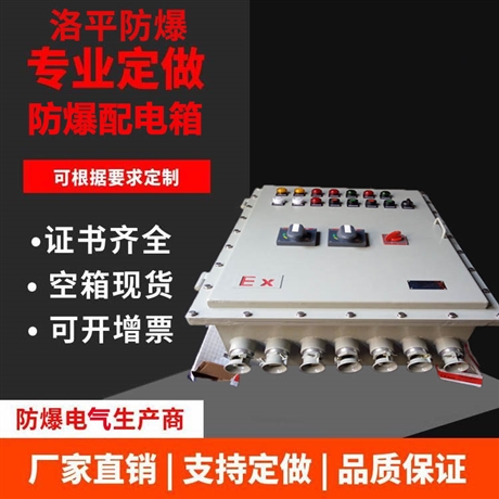 配电输电设备箱 BXM(D)51防爆配电箱 厂家定制IIC 洛平防爆