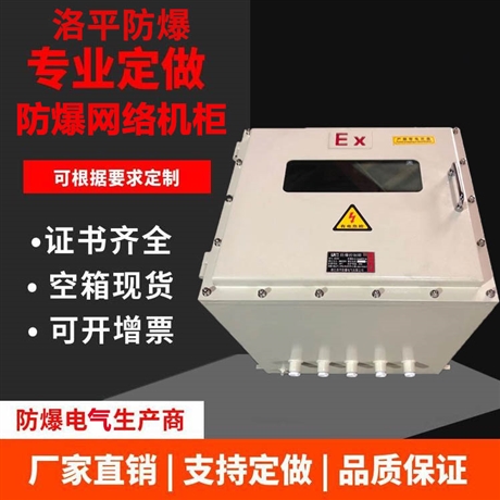 防爆网络机柜 室内壁挂式防爆机柜 光纤收发器机箱 洛平防爆