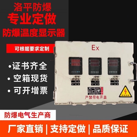 温度数显防爆仪表箱 智能温控箱 防爆温控箱 厂家定制 洛平防爆