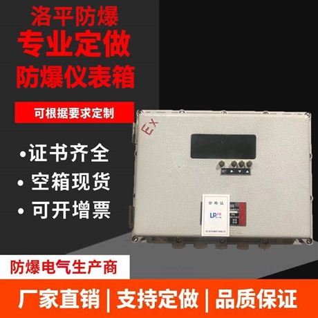 防爆仪表箱 观察窗防爆仪表箱 防爆保温箱 温控仪表箱厂家 洛平防爆生产