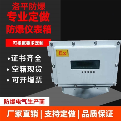 防爆仪表箱 多功能仪表箱 按键操作箱 厂家定制 洛平防爆
