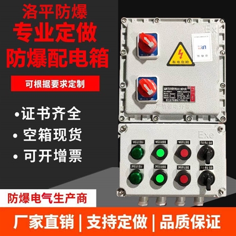 河北厂家防爆控制箱 双电源防爆控制箱 风机启停防爆控制箱 洛平防爆