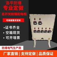 防爆照明配电箱 防爆配电箱精工细作 品质保证 洛平防爆