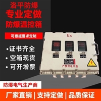 防爆仪表箱 铸钢仪表控制箱 触摸屏配电箱 按键操作仪表箱 洛平防爆