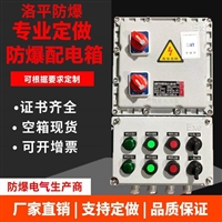 河北厂家防爆控制箱 双电源防爆控制箱 风机启停防爆控制箱 洛平防爆