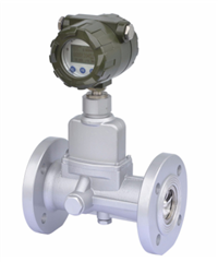 LUX-200天然气旋进旋涡流量计厂家