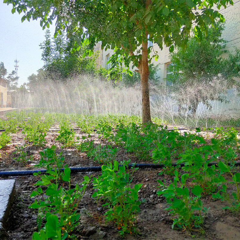 农用微喷带园林绿化灌溉水带喷灌带滴灌带喷水软管n80