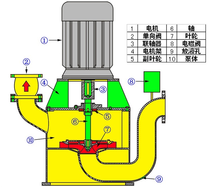 无密封自吸泵结构图解图片