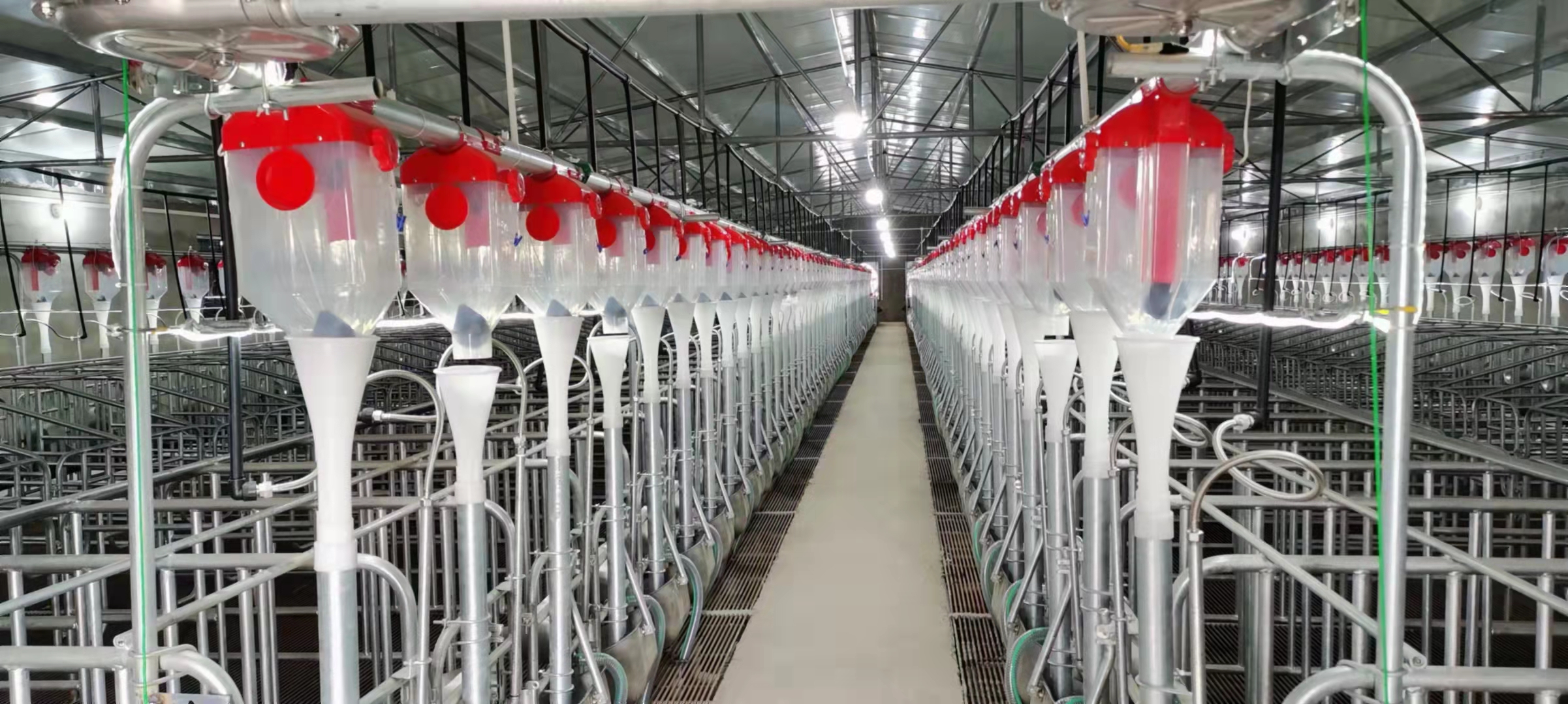 泊头良诸畜牧机械养猪设备