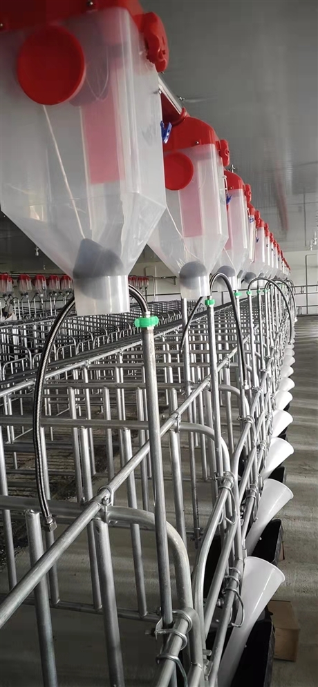 泊头良诸畜牧机械养猪设备