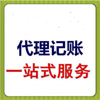 代理记账 审核凭证 报表分析