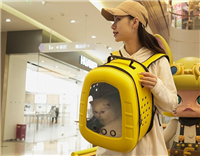 宠物包定做 宠物用品包袋设计定制 上海宠物包定制