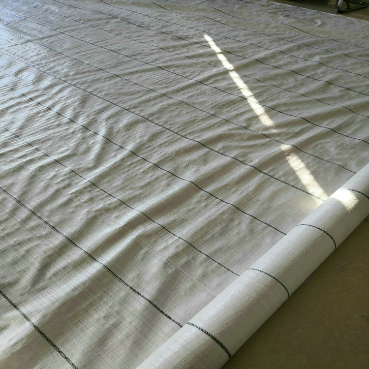 甘肃150克白色园艺地布