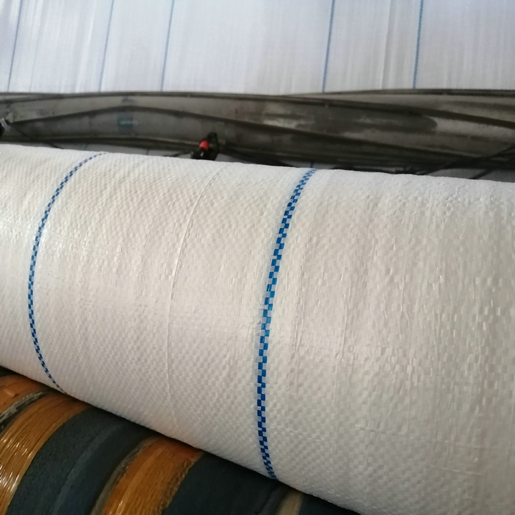 辽宁100克白色PE地布