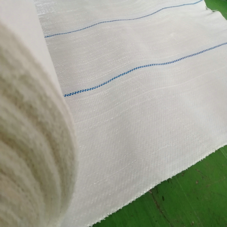 广东100克白色塑编布