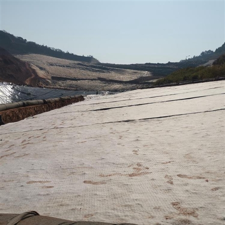 松原膨润土防水毯人工湖防渗5kg防水毯出口加工