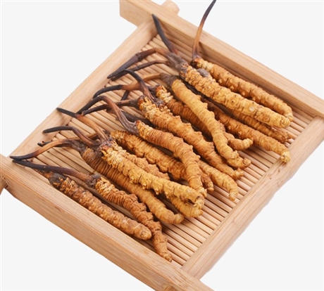 龍坪鎮(zhèn)回收冬蟲(chóng)夏草多少錢(qián)一克,回收2600條冬蟲(chóng)夏草免費(fèi)上門(mén)