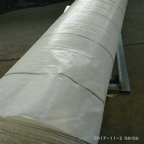 河南100克白色PP地布 100克白色盖草布