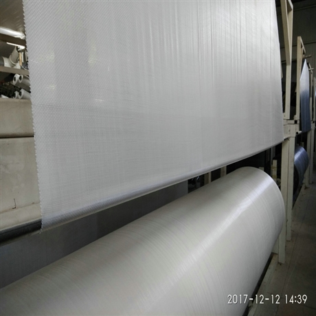 内蒙古120克白色塑编布 120克白色PP地布