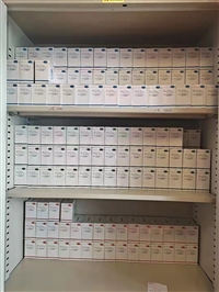 连华科技总磷试剂LH-P1P2-100 连华试剂