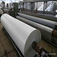 黑龙江100克白色防草布 100克白色PP地布