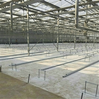 河南150克白色园艺地布 150克白色盖草布