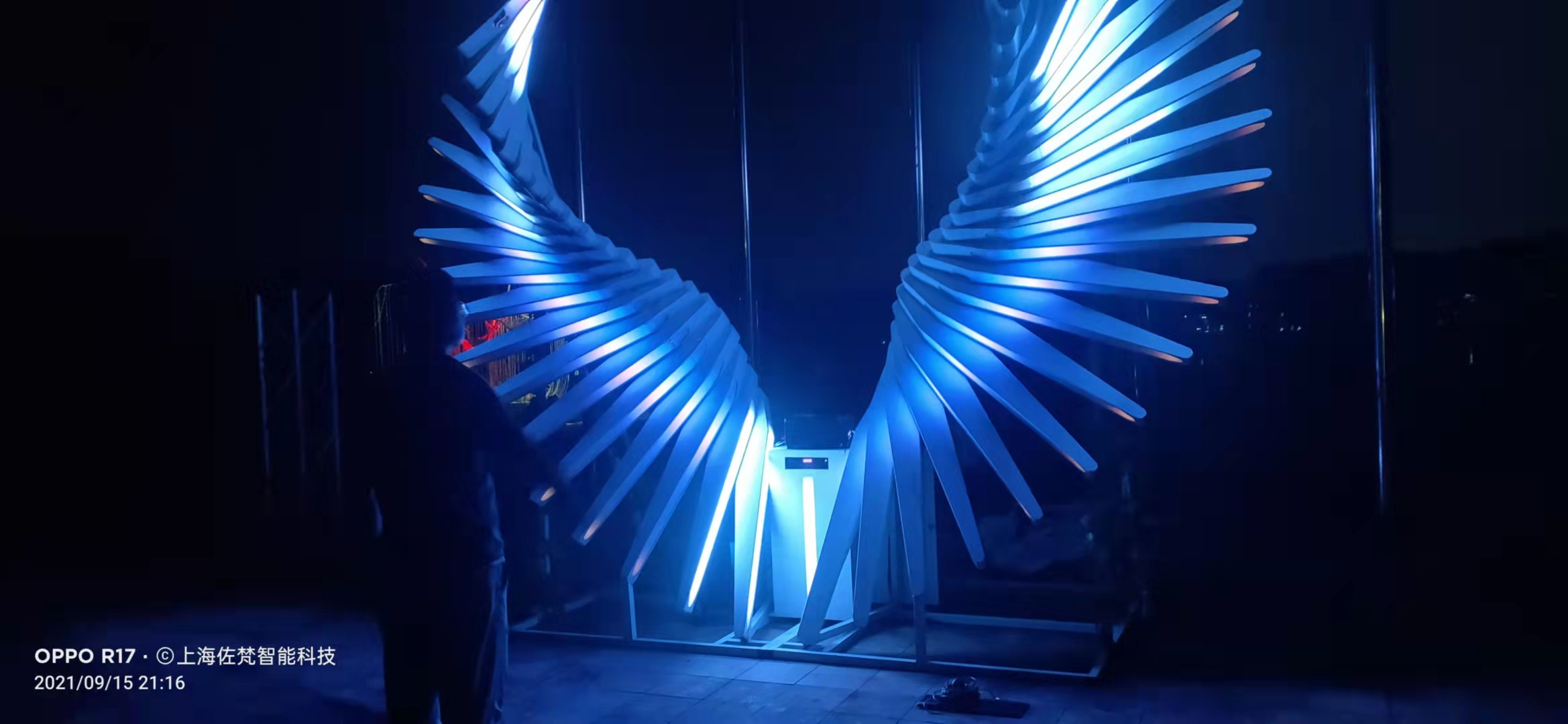 体感翅膀互动装置景区夜游亮化装置