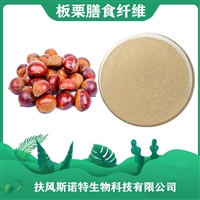 板栗膳食纤维 斯诺特生物 水溶性板栗粉 可定制生产