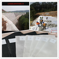 全國(guó)直發(fā) A型加筋濾網(wǎng) 擋墻加筋濾網(wǎng) 加筋濾網(wǎng)價(jià)格