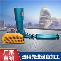 罗茨鼓风机生产厂家 各种尺寸可定制 厂家支持批发